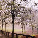 In Madeira Апартаменты *
