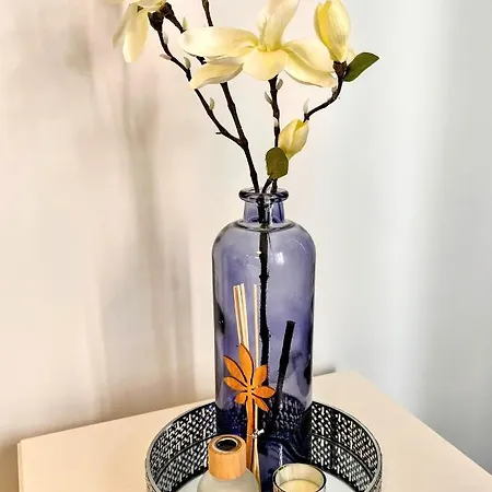Apartment In Madeira Funchal (Madeira)