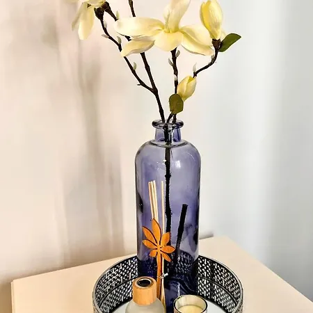 Apartamento In Madeira Funchal (Madeira)