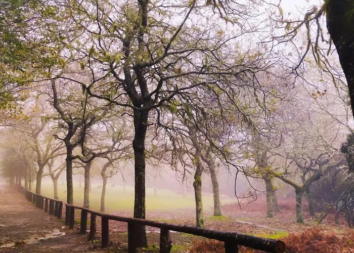 In Madeira Lejlighed *