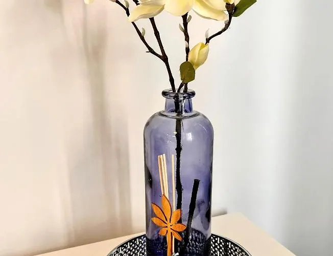 Lejlighed In Madeira Funchal (Madeira)