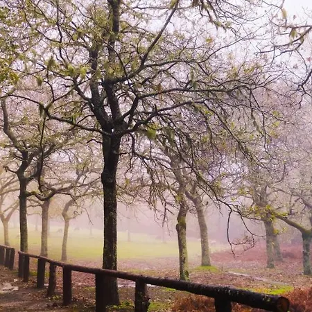 In Madeira Апартаменты *